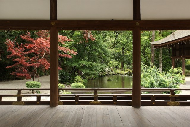 Unveiling the Key Elements of Japanese Garden Design Principles